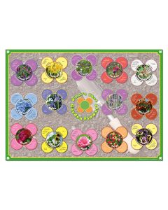 Identification Poster - Garden Flowers