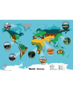 World Biomes Map