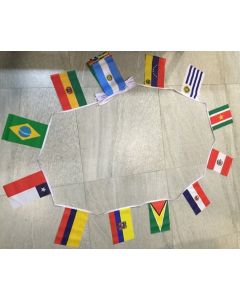 African Nations Bunting