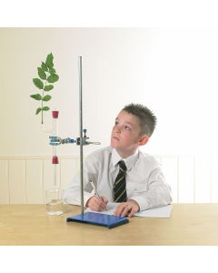 H Type Potometer