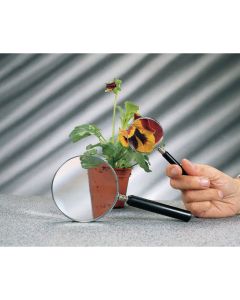Magnifier with Handle - 195mm