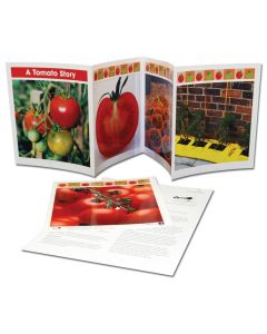 Life Cycle Frieze - A Tomato Story