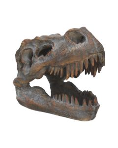Replica T-Rex Skull