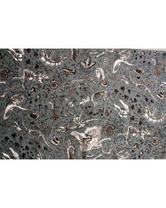 Fossils Display Textile
