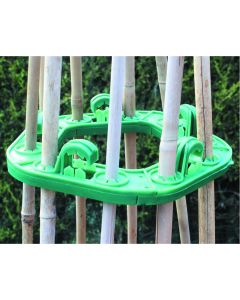 Cane Supports