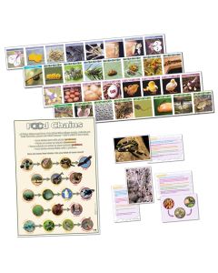 Life Cycle and Food Chains Bundle