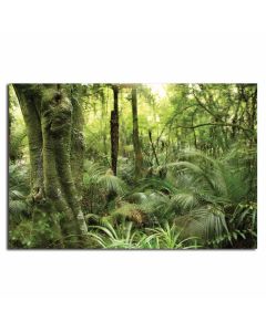 Rainforest Backdrop