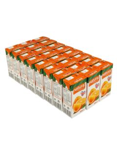 Small Orange Juice Cartons 200ml - Pack of 24