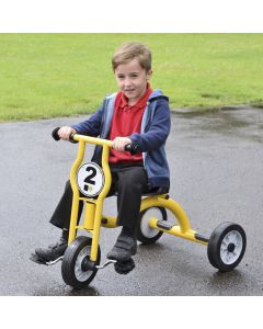 Wisdom Medium Trike