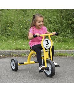 Wisdom Large Trike