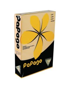 Papago A4 Copier Card - Gold - Pack of 250