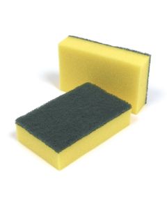 Catering Sponge Scourer - Pack of 10