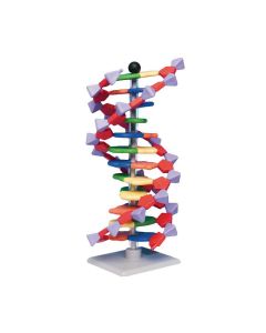 Mini DNA 11 Layer Molecular Model Kit