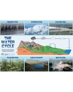 Water Cycle Poster