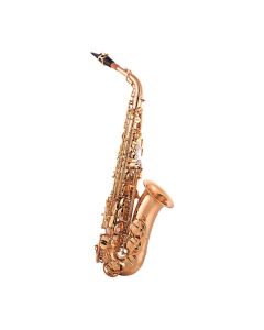 JP Instruments JP041 Eb Alto Saxophone Outfit