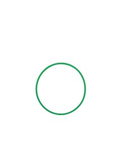 Hula Hoop - 610mm - Green