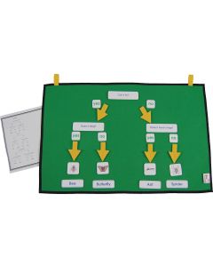 Mini Beasts Identification Activity