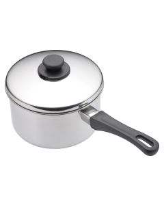 Stainless Steel Saucepan with Lid