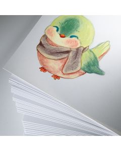 Heavyweight Cartridge Paper 220gsm