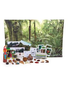 Amazonian Rainforest Box