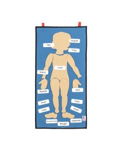 My Body - Welsh Vocabulary Wall Hanging