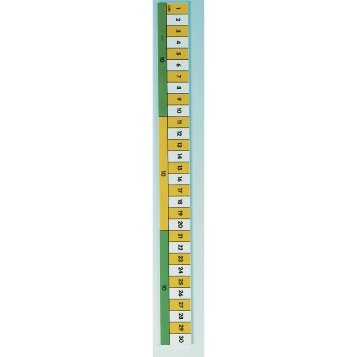 Helix Rulers 300mm/30cm - Pack of 10