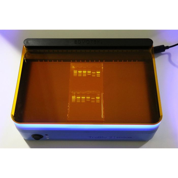 SYBR Safe Stain