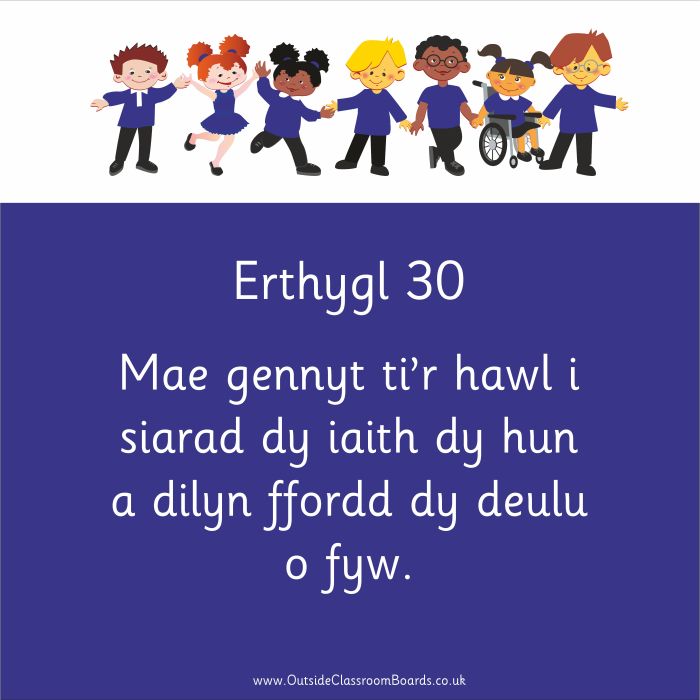 Children's Rights - Article 30 - Indoor and Outdoor Sign - Purple - Welsh