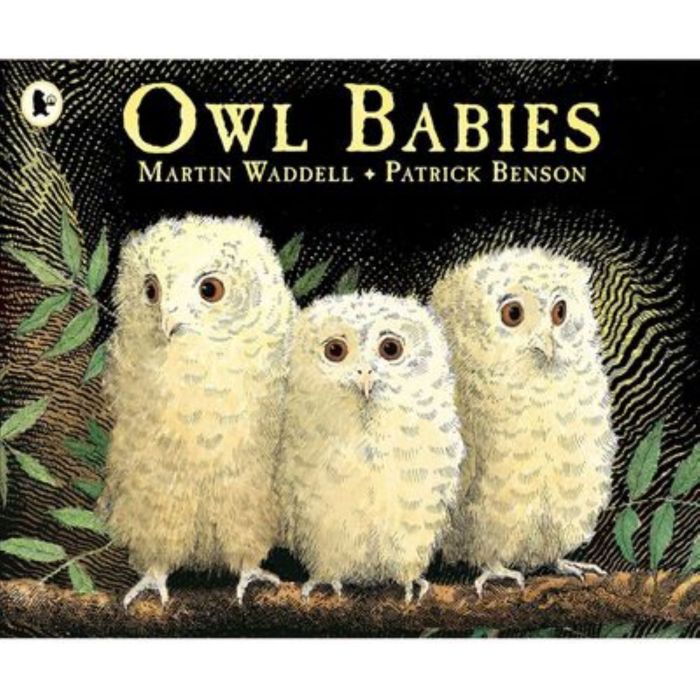 Book Life Accelerated Readers The Picture Book Collection