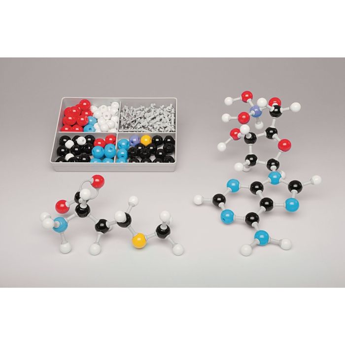 Molymod Biochemistry (Student) Set