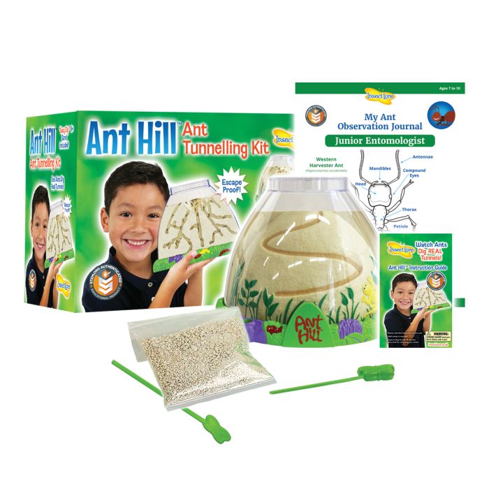 Ant Hill