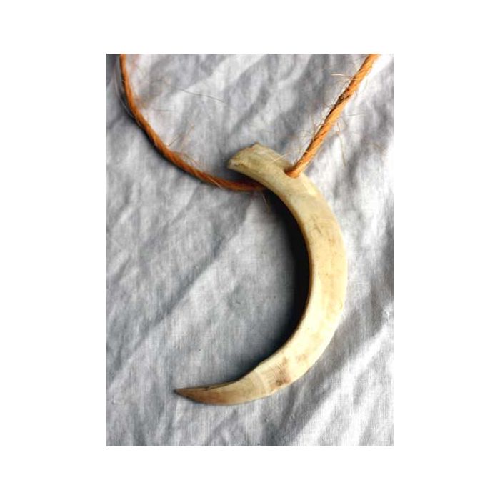 Boars Tusk Necklace