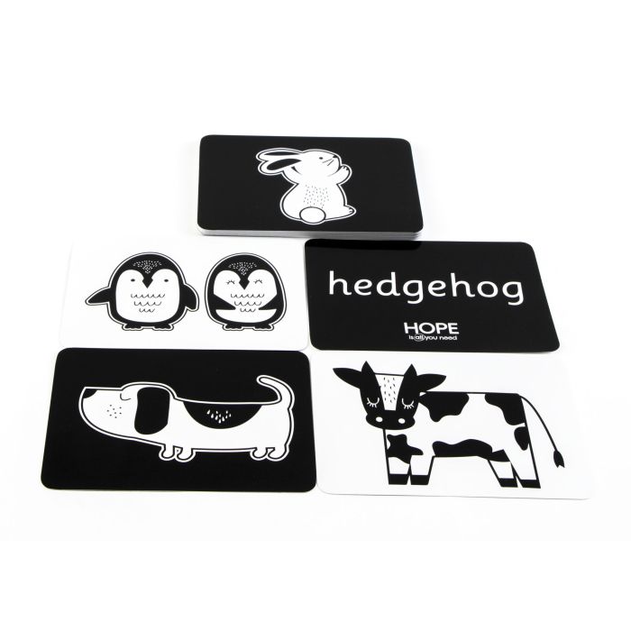 Black and White Sensory Flashcards