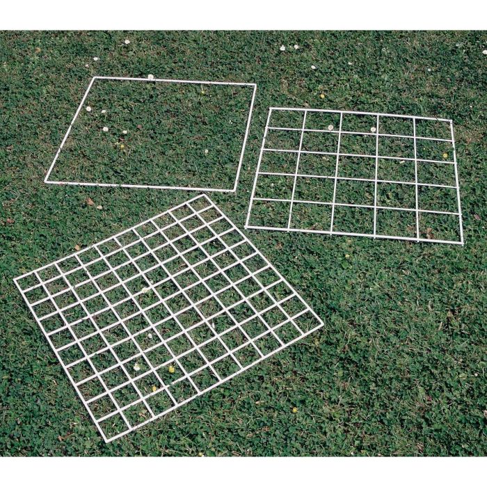 Grid Quadrat 25 Squares
