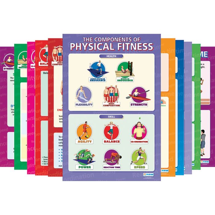 Components of Physical Fitness Posters - Pack of 12