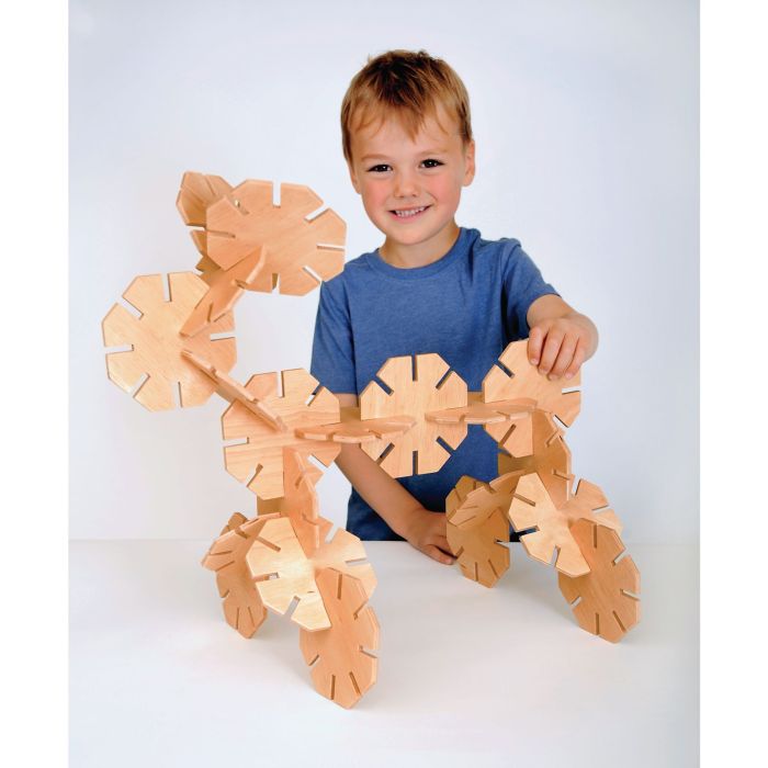 Wooden Octoplay - Pack of 20