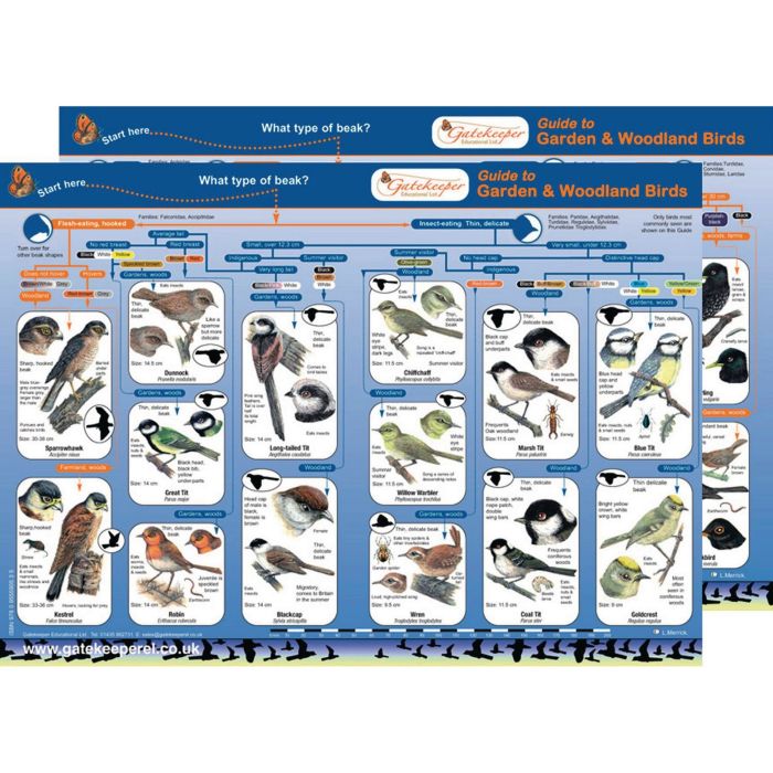 Common Birds Identification Guide Pack