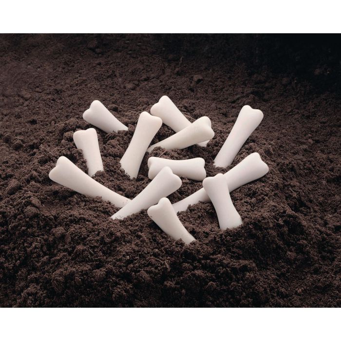 Yellow Door Dinosaur Bones Discovery Set