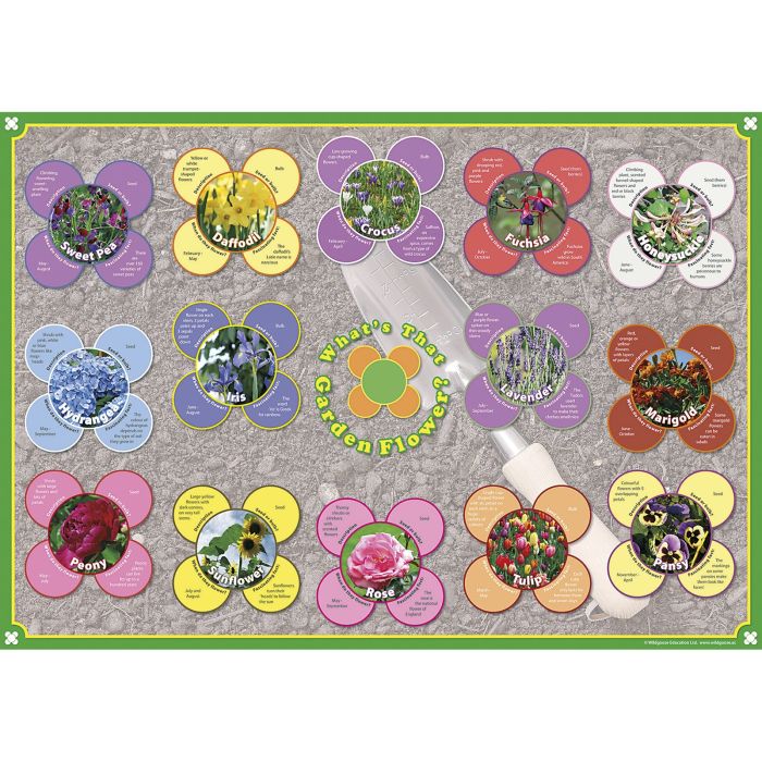 Flowers and Trees - Posters - Pack of 3