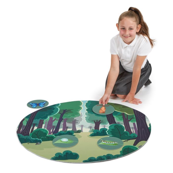 Butterfly Life Cycle Mat