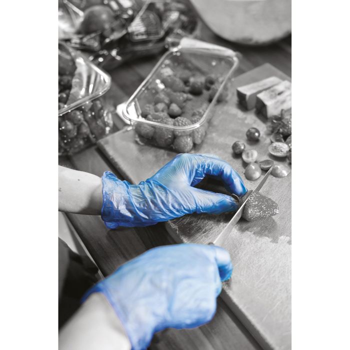 Large Blue Powder Free Disposable Gloves - Pack of 100