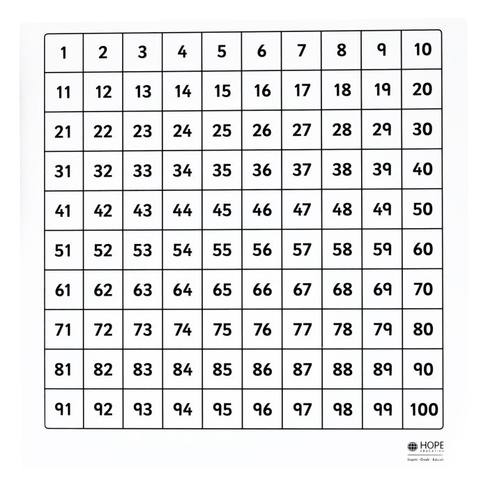 Dry-Wipe 100-Square Board - Teacher's Display