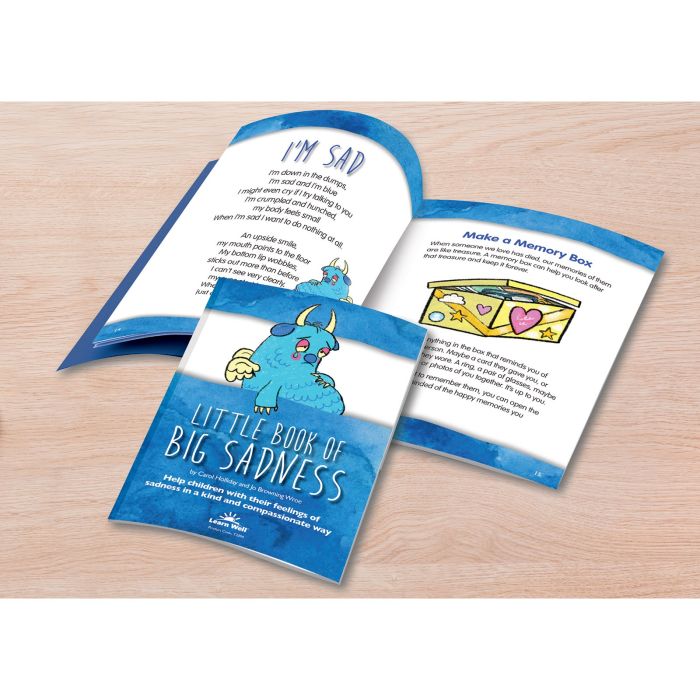 The Little Book of Big Sadness
