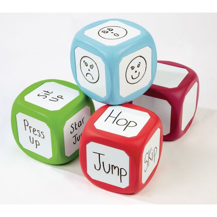 Teacher Whiteboard Dice - Pack of 4