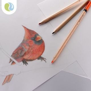 Drawing Cartridge 100gsm