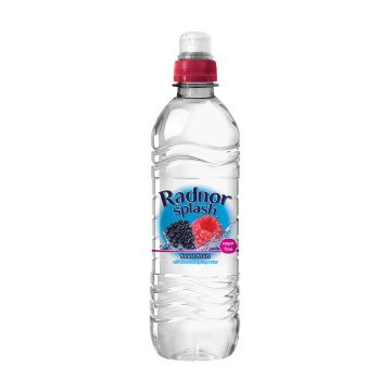 Radnor Splash Still - 500ml - Pack of 24