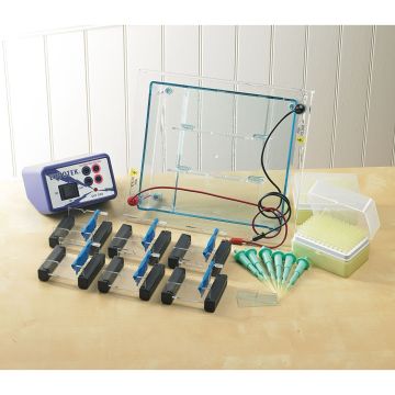DNA Electrophoresis Class Kit