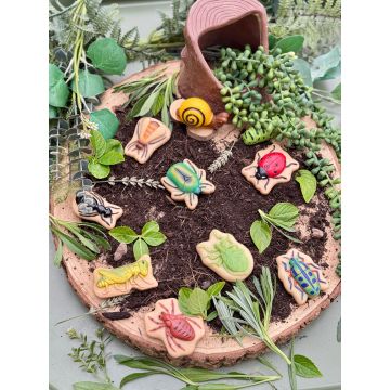 Yellow DOOR  Sensory Play Stones - Bugs