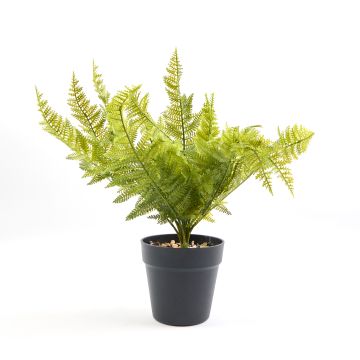 Artificial Fern Plant