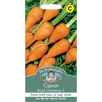 Gro Box Basil